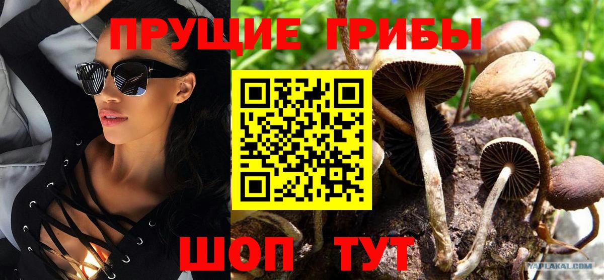 Псилоцибиновые грибы прущие грибы Екатеринбург