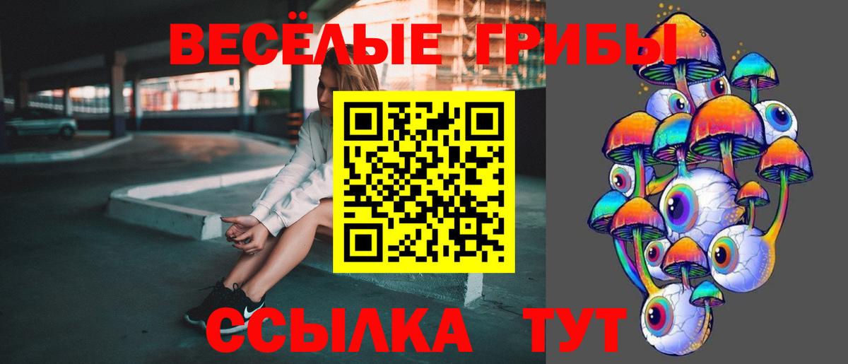 Псилоцибиновые грибы Cubensis  Вход с VPN  Екатеринбург 