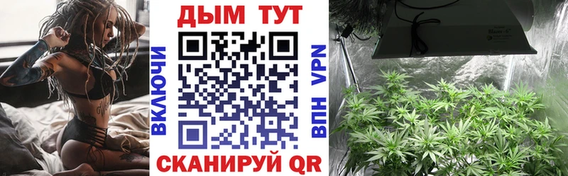 Конопля семена  mega зеркало  Екатеринбург 